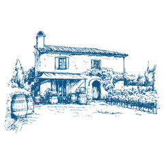 Vineyards landscapes sketched abstract digital illustration