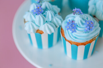 Blue Cupcakes with Edible Flowers. Blue Cupcakes with forget-me-not flowers on a pink background.Fresh flowers to decorate fresh baked goods