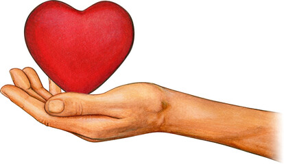 Obraz premium Watercolor hand drawn hands with heart