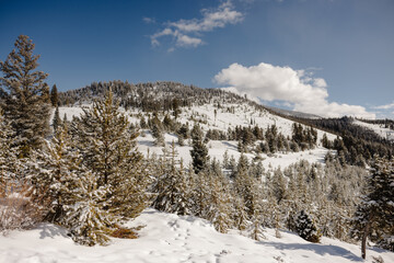 Swan mountain in Breckenridge, Colorado