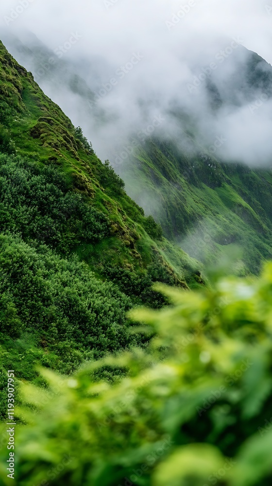 Poster lush green hillside shrouded in mist and fog offering a mystical and enchanting view : generative ai