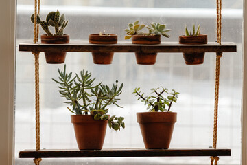 DIY plant shelf for succulents