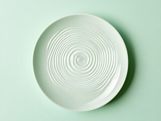 White Plate with Embossed Concentric Circles on Pale Green Background