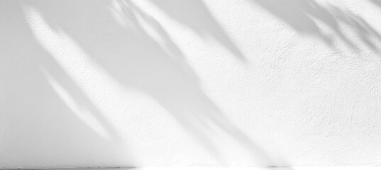Obraz premium Abstract Blurred White Shadow Background of Natural Leaves Tree Branch Wall Texture, Summer