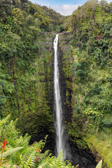 AkaNot far from Hilo on northeastern side of the Big Island of Hawaii, Akaka Falls is a breathtaking 442-foot waterfall that plunges into a deep volcanic rock gorge amidst a lush tropical rainforest.
