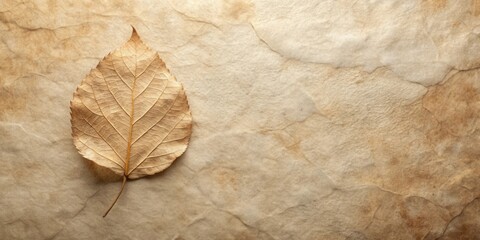 Fototapeta premium Single Dried Leaf on Textured Parchment Paper Background