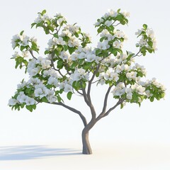 Obraz premium Stunning White Blossoms: A Springtime Tree in Full Bloom. Nature's vibrant beauty captured in a breathtaking floral scene.