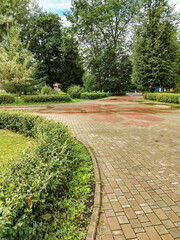 Semi-circular trimmed shrub in landscaping along lawn and tile sidewalk, summer park, vertical shot