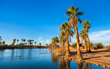 Naklejka premium Palm Trees and Water Reflection at an Oasis Surrounded by Desert in Papago Park, Phoenix, Arizona, United States