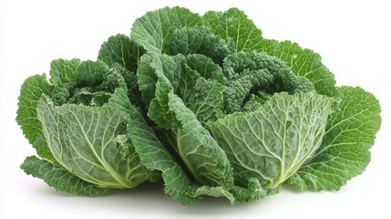 Fresh savoy cabbage, green leaves, healthy vegetable.