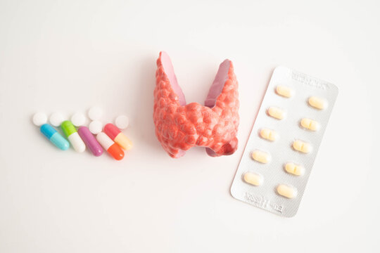 Thyroid model with pill drug treatment, Hyperthyroidism, Overactive or Lymphoma.