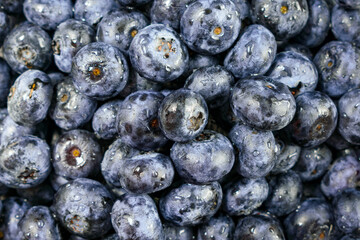 Freshly Washed Blueberries Close-up: Closeup of wet blueberries with water drops on them from rinsing