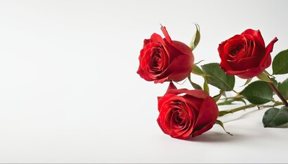Closeup shot of a red rose bouquet against a white background S5