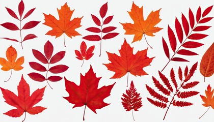Fototapeta premium A collection of autumn leaves with a red berry on the top S1