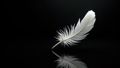 Obraz premium a close-up of a single feather that is floating in the center of a black background. The feather is white and appears to be made of feathers, with a thin, feathery texture.