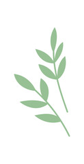 Stylized green leaf graphic. Clean and minimalist imagery of a nature plant. This leaf icon highlights the beauty of nature, reflecting a simple aesthetic. Ideal for various design projects, digital
