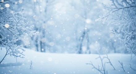 Winter wonderland, snowy landscape, frosted tree branches, soft blue background, glowing bokeh lights