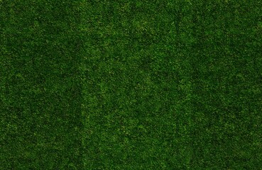 Fresh Green Soccer Turf Texture 6K

