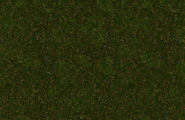 Seamless Natural Soccer Grass Texture 6K

