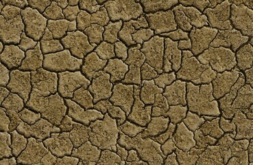 Realistic Ground Soil Texture for Architecture Design