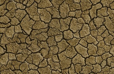 High-Definition Earth Soil Texture for Landscaping