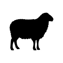 Black Sheep silhouette vector illustration on white background.