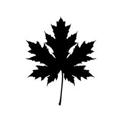 Black Maple leave icon silhouette vector illustration on white background.
