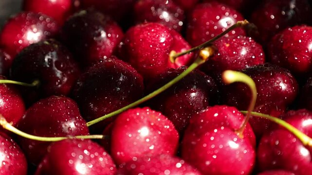 cherries in a bowl, red cherry fruit 