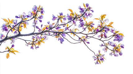 Obraz premium Branch with Purple Flowers and Yellow Leaves
