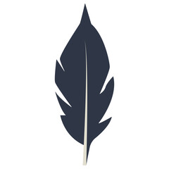 Curve Bird Feather Silhouette. Isolated on White Background. Vector Illustration