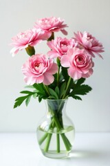 Fototapeta premium Delicate pink carnations in a vase, isolated on white background, flowers in container, floral arrangement