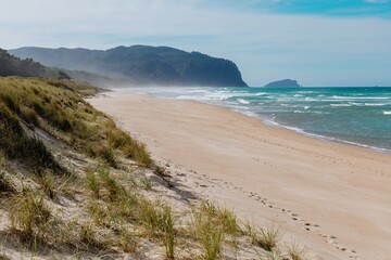 Tranquil beach scene with gentle waves, footprints in the sand, and lush dunes. Coastal beauty. Opoutere, Whangamata, Coromandel Peninsula, New Zealand