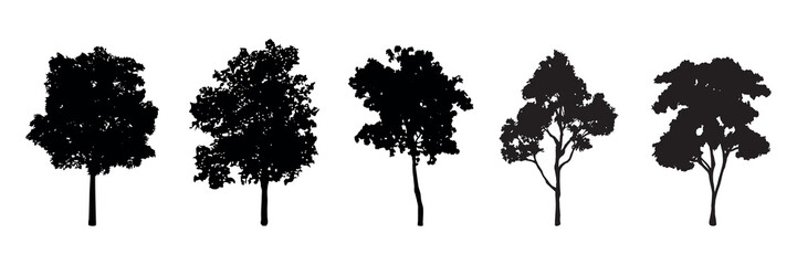 Fototapeta premium Silhouettes of five trees in various shapes. Tree silhouettes showcase diverse forms. Black tree silhouettes highlight unique outlines. Nature in silhouette form. Silhouette forest elements, vectors.