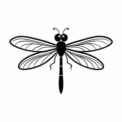 dragonfly on white background