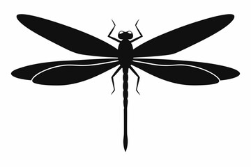 dragonfly illustration