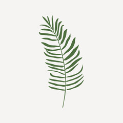 Palm leaf branch collage element vector