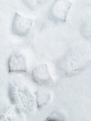 close-up of boot footprints in freshly fallen snow; calm winter scene