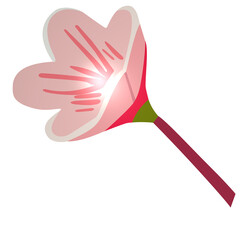 シンプルで美しい桜の花びらのイラスト素材