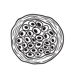 An Abstract Illustration Depicting a Cell and Its Nucleus Featuring Circular Structures