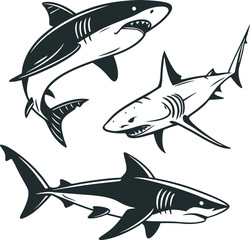Obraz premium Black and White Shark Vector Silhouette