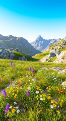 Fototapeta premium Rocky mountains with patches of flowers