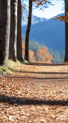 Autumn Path Sunlight Dapples Golden Leaves. AI Generated