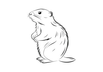 Vintage Beaver Standing Woodcut Engraving Style Vector Illustration with Intricate Hand-Drawn Details