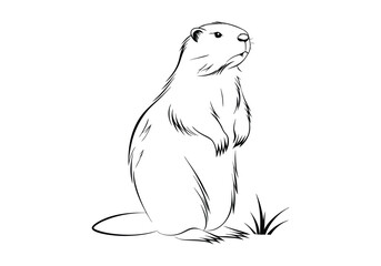 Vintage Beaver Standing Woodcut Engraving Style Vector Illustration with Intricate Hand-Drawn Details