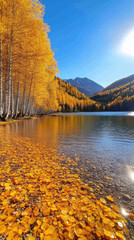 Obraz premium serene lake with golden leaves and birch trees