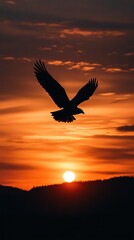 Fototapeta premium The silhouette of a bird flying across the sky, casting its shadow on a field below.