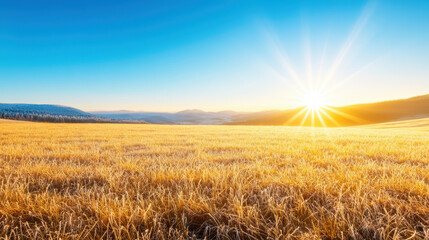 Obraz premium frosty morning in countryside field with sunlight
