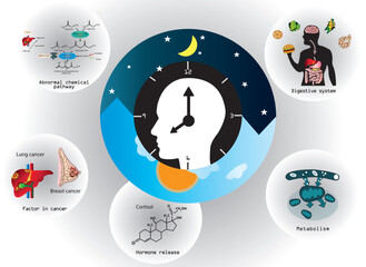 Biological Clock and its impact on Cancer, Hormone Regulation, digestive system and metabolism in the human body. 