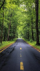 Fototapeta premium Wet asphalt road leading through lush green forest after rain
