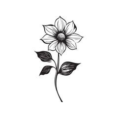 illustration of a flower